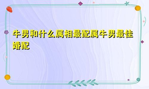 牛男和什么属相最配属牛男最佳婚配