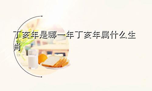 丁亥年是哪一年丁亥年属什么生肖