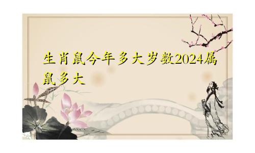 生肖鼠今年多大岁数2024属鼠多大