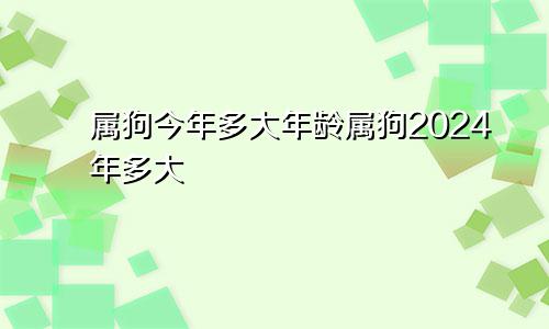 属狗今年多大年龄属狗2024年多大