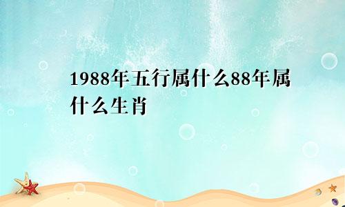 1988年五行属什么88年属什么生肖