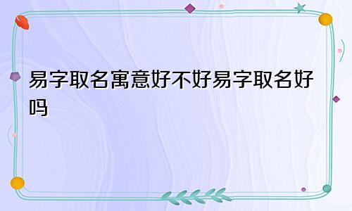 易字取名寓意好不好易字取名好吗