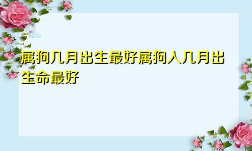 属狗几月出生最好属狗人几月出生命最好