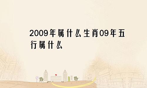 2009年属什么生肖09年五行属什么