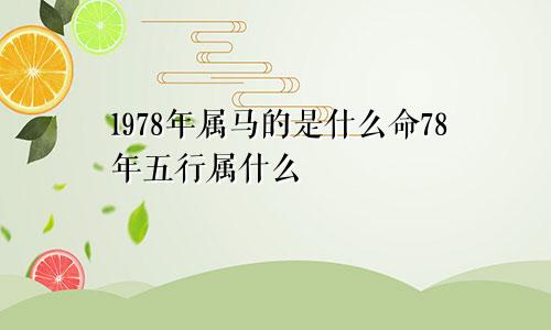 1978年属马的是什么命78年五行属什么