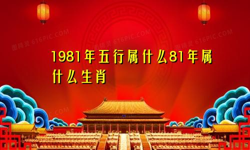 1981年五行属什么81年属什么生肖