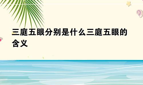 三庭五眼分别是什么三庭五眼的含义