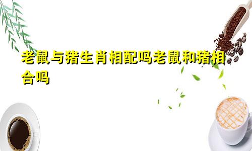 老鼠与猪生肖相配吗老鼠和猪相合吗