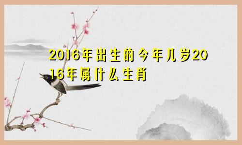 2016年出生的今年几岁2016年属什么生肖