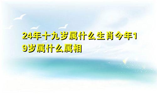 24年十九岁属什么生肖今年19岁属什么属相