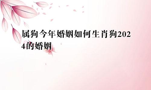 属狗今年婚姻如何生肖狗2024的婚姻