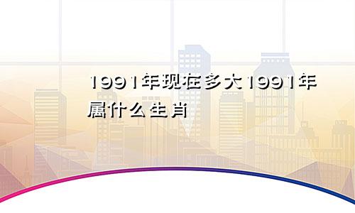 1991年现在多大1991年属什么生肖