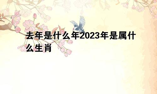 去年是什么年2023年是属什么生肖