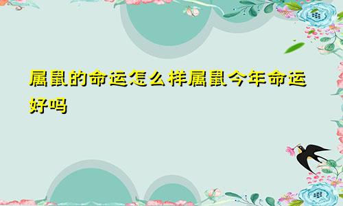 属鼠的命运怎么样属鼠今年命运好吗