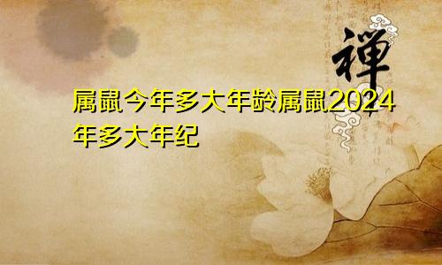 属鼠今年多大年龄属鼠2024年多大年纪