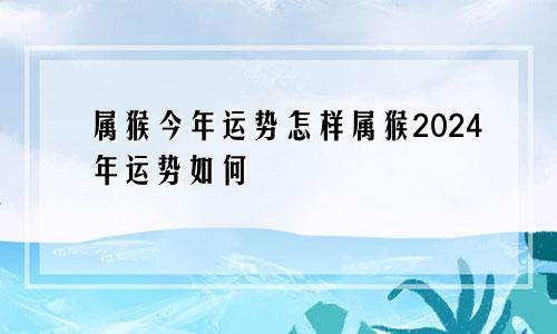 属猴今年运势怎样属猴2024年运势如何