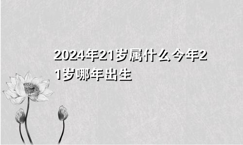 2024年21岁属什么今年21岁哪年出生