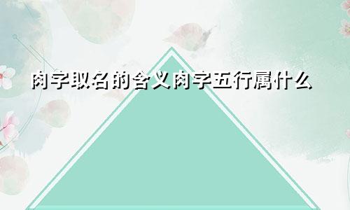 肉字取名的含义肉字五行属什么