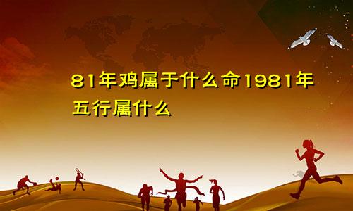 81年鸡属于什么命1981年五行属什么