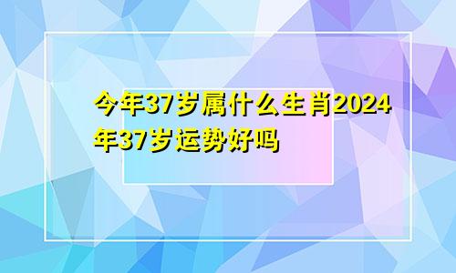 今年37岁属什么生肖2024年37岁运势好吗