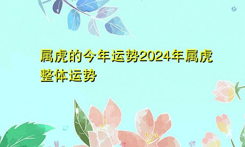 属虎的今年运势2024年属虎整体运势