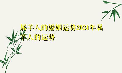 属羊人的婚姻运势2024年属羊人的运势