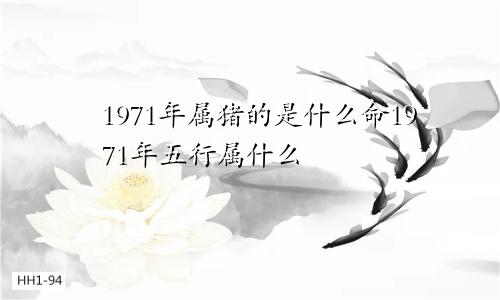 1971年属猪的是什么命1971年五行属什么