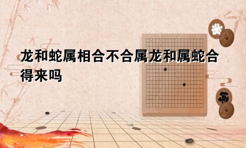 龙和蛇属相合不合属龙和属蛇合得来吗