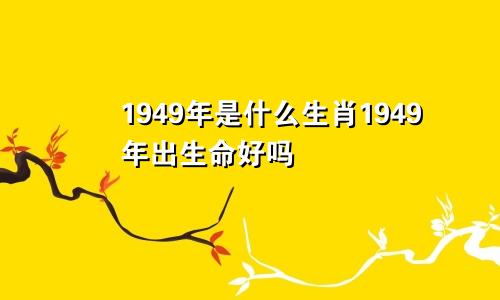 1949年是什么生肖1949年出生命好吗