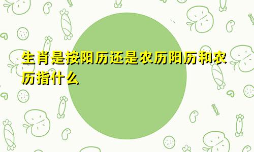 生肖是按阳历还是农历阳历和农历指什么