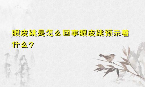 眼皮跳是怎么回事眼皮跳预示着什么?