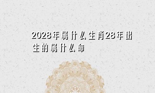 2028年属什么生肖28年出生的属什么命