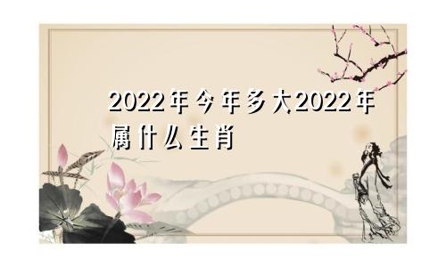 2022年今年多大2022年属什么生肖