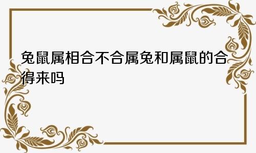 兔鼠属相合不合属兔和属鼠的合得来吗