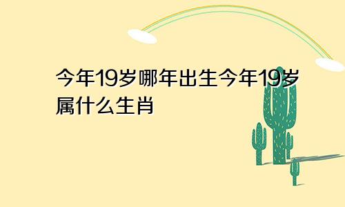 今年19岁哪年出生今年19岁属什么生肖