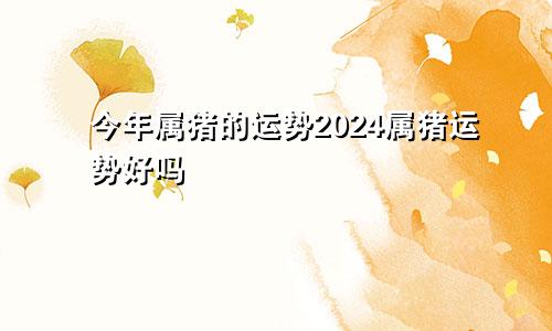 今年属猪的运势2024属猪运势好吗