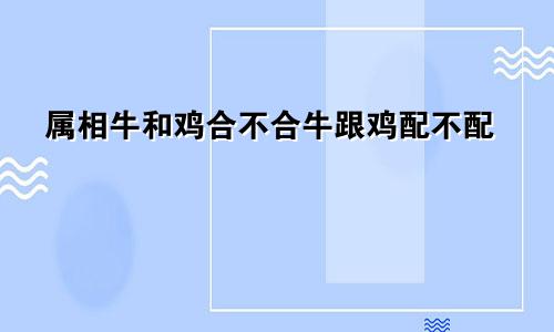 属相牛和鸡合不合牛跟鸡配不配