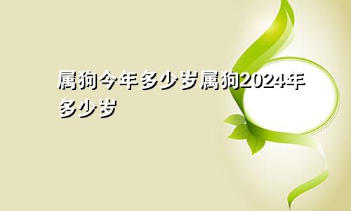 属狗今年多少岁属狗2024年多少岁