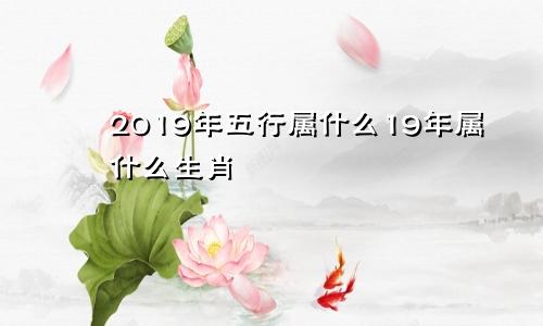 2019年五行属什么19年属什么生肖