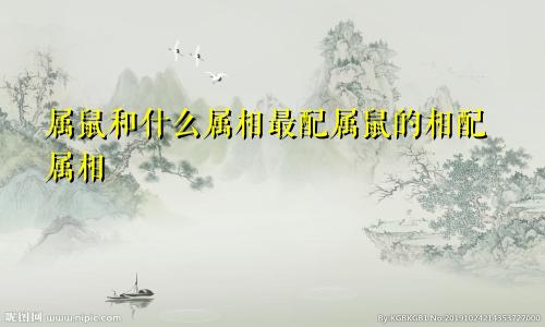 属鼠和什么属相最配属鼠的相配属相