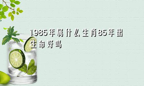 1985年属什么生肖85年出生命好吗