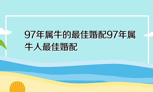 97年属牛的最佳婚配97年属牛人最佳婚配