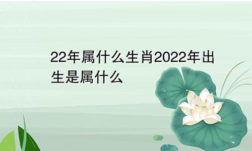 22年属什么生肖2022年出生是属什么