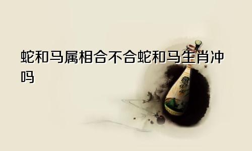 蛇和马属相合不合蛇和马生肖冲吗