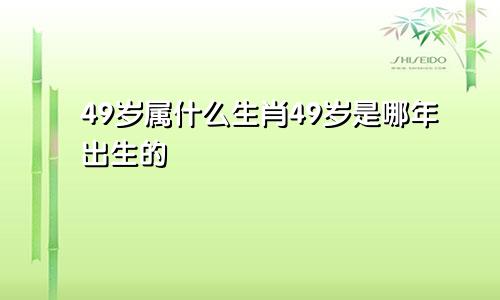 49岁属什么生肖49岁是哪年出生的