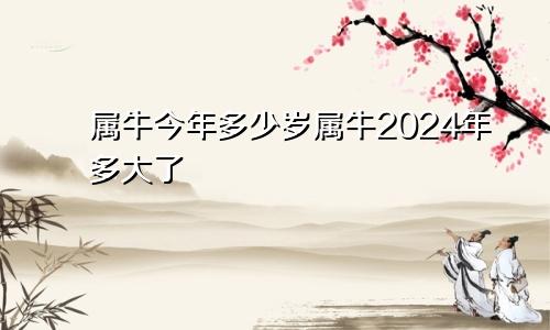 属牛今年多少岁属牛2024年多大了