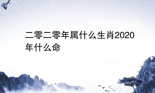 二零二零年属什么生肖2020年什么命