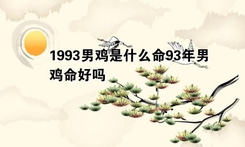 1993男鸡是什么命93年男鸡命好吗