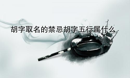 胡字取名的禁忌胡字五行属什么