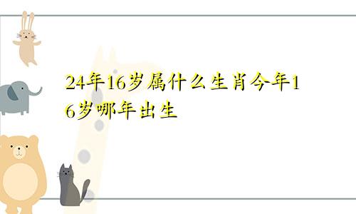 24年16岁属什么生肖今年16岁哪年出生